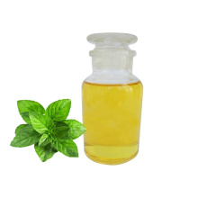 Wholesale Mint Essential Oil Organic Peppermint Essential Oil